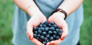 Dziewczyna trzymająca garść borówek.