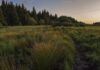 Czy można cumować na dziko?