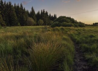 Czy można cumować na dziko?