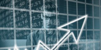 Gdzie jest stolicą borowika w Polsce?