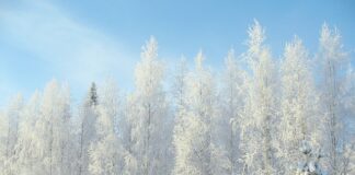 Jakie są minusy pompy ciepła?