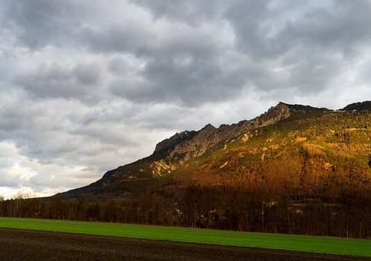 Czy cyrkulacja jest obowiązkowa? Czy cyrkulacja jest obowiązkowa?