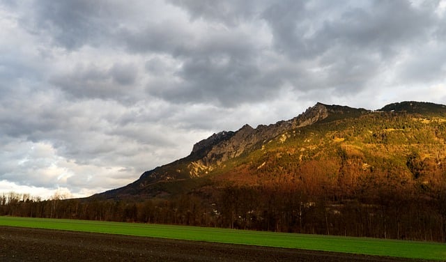 Co zamiast cyrkulacji? Co zamiast cyrkulacji?