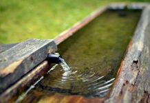 Czy trzeba zakręcać kranik w motocyklu? Czy trzeba zakręcać kranik w motocyklu?