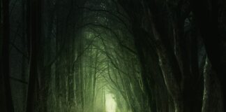 Jak przejście z rury stalowej na PEX?