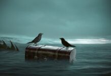 Jaki kufer do Hondy Varadero 125? Jaki kufer do Hondy Varadero 125?