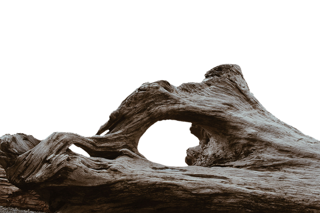 Czy można jechać z dziurawa chłodnica? Czy można jechać z dziurawa chłodnica?