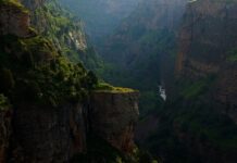 Jak głęboko sięga grzybnia? Jak głęboko sięga grzybnia?