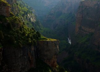 Jak głęboko sięga grzybnia? Jak głęboko sięga grzybnia?