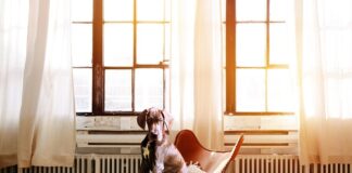 Ile kosztuje kaloryfer do łazienki?