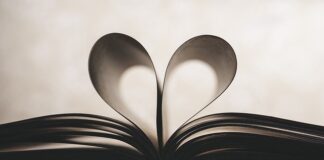 Co oznacza symbol V Kamienie na szaniec?