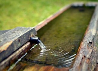 Co oznacza napis na kraniku Fuel? Co oznacza napis na kraniku Fuel?