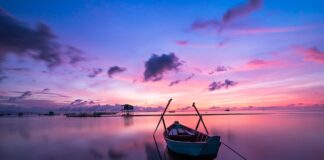 Jaki kolor najlepiej oddaje ciepło?