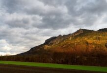 Kiedy nie trzeba cyrkulacji?