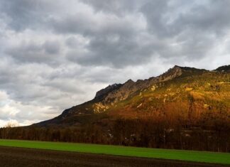 Kiedy nie trzeba cyrkulacji? Kiedy nie trzeba cyrkulacji?