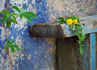 Co na porysowane auto?