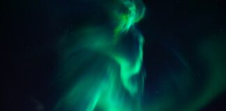 Co zamiast ziemi do doniczki?