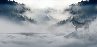 Jak przetrwać zimę bez ogrzewania?