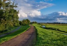 Czy podpora wału może wyć?