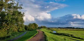 Czy podpora wału może wyć?