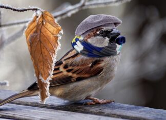 Jak ogrzać łazienkę?