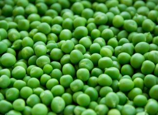 Jaka jest różnica między groszkiem a ekogroszkiem? Jaka jest różnica między groszkiem a ekogroszkiem?