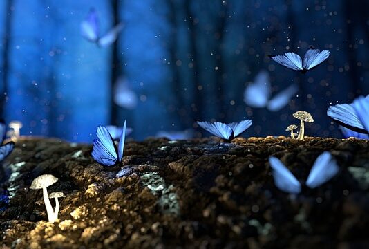 Jakie grzyby pod orzechem? Jakie grzyby pod orzechem?