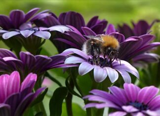 Czy zerowanie w gniazdku jest legalne? Czy zerowanie w gniazdku jest legalne?