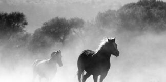 Jak palić żeby nie spalić grzałki?