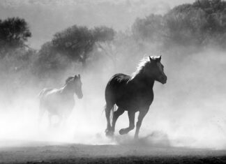 Jak palić żeby nie spalić grzałki?