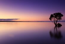 Ile wody wchodzi w grzejnik stalowy?