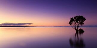 Ile wody wchodzi w grzejnik stalowy?