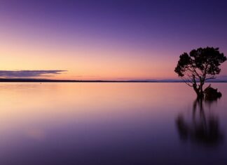 Ile wody wchodzi w grzejnik stalowy? Ile wody wchodzi w grzejnik stalowy?