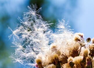 Jak zamaskować zarysowania na zderzaku?