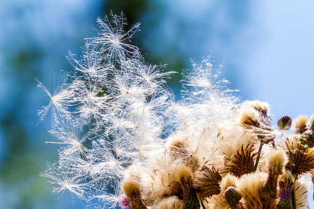 Jak zamaskować zarysowania na zderzaku? Jak zamaskować zarysowania na zderzaku?