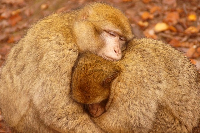 Czy opłaca się grzać prądem? Czy opłaca się grzać prądem?