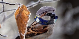 Jak ogrzać pokój domowym sposobem?