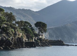 Ile kosztuje jedno żeberko aluminiowe?