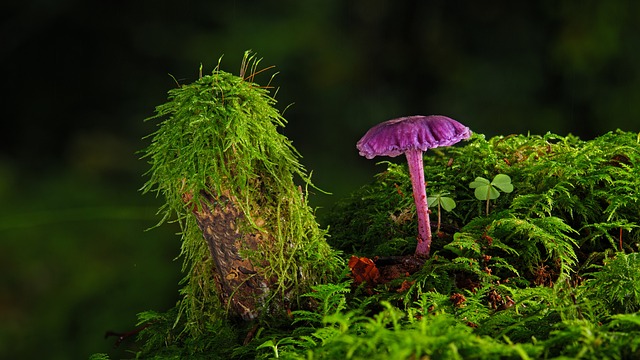 Czy na farbę akrylową można położyć lakier bezbarwny? Czy na farbę akrylową można położyć lakier bezbarwny?