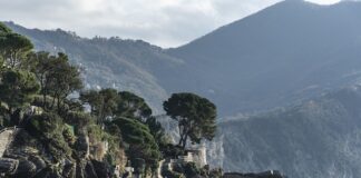 Ile kosztuje grunt do ścian?